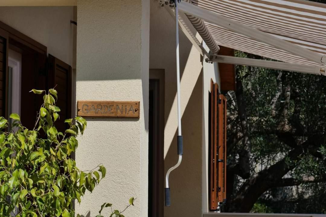 Case Vacanze La Quercia Marina di Camerota Εξωτερικό φωτογραφία