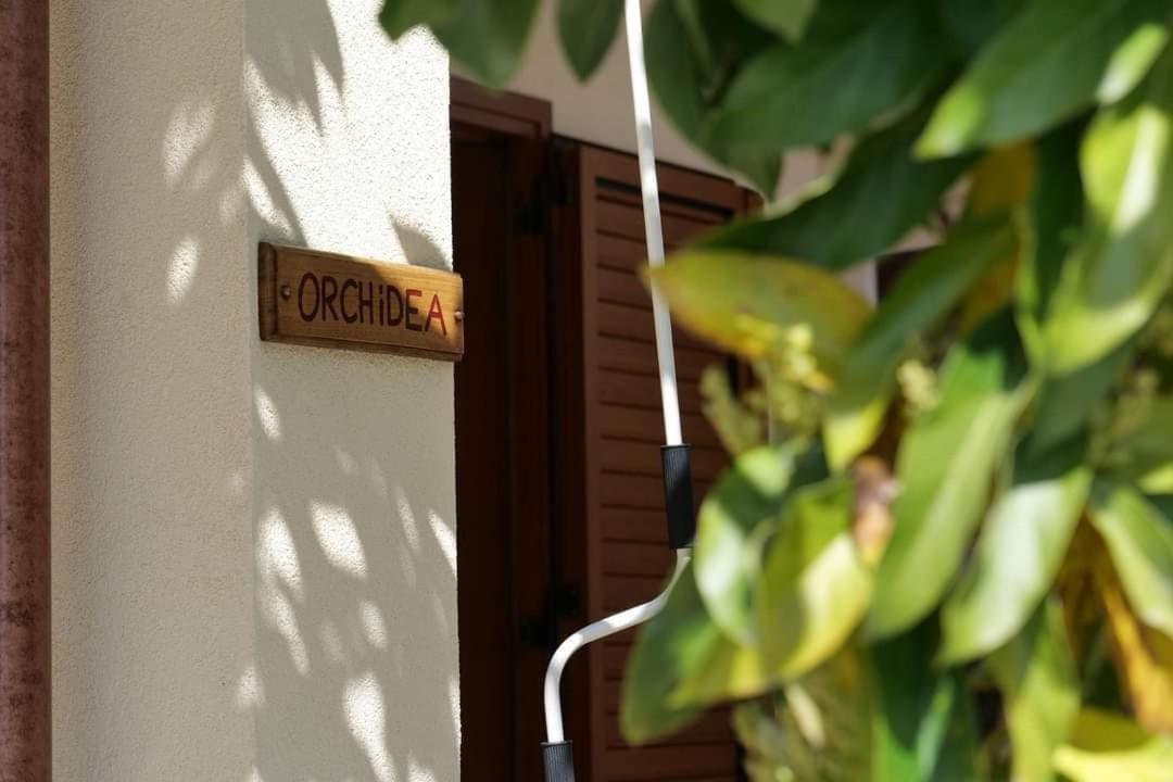 Case Vacanze La Quercia Marina di Camerota Εξωτερικό φωτογραφία
