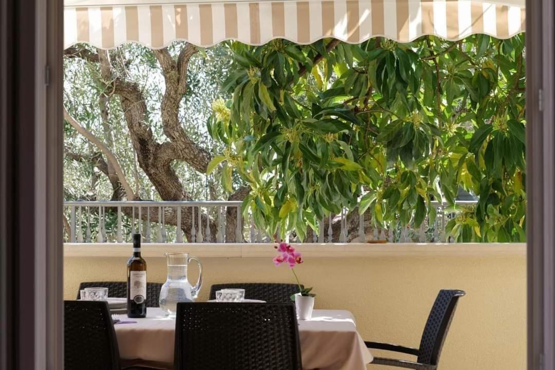 Case Vacanze La Quercia Marina di Camerota Εξωτερικό φωτογραφία